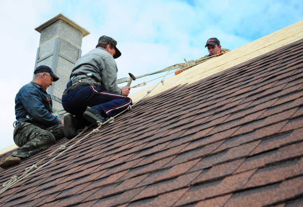 Roof Gutter Cleaning in Bainbridge, GA